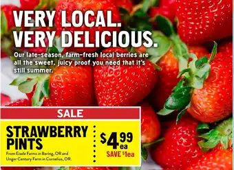 Strawberry Pints