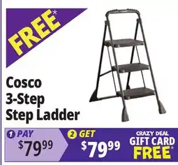 Ocean State Job Lot Cosco 3-Step Step Ladder offer