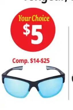 Ocean State Job Lot Sunglasses offer