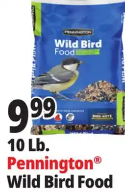 Ocean State Job Lot Pennington Wild Bird Food offer