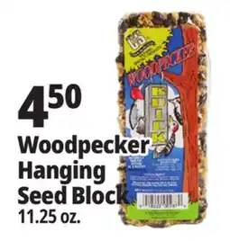 Ocean State Job Lot Woodpecker Hanging Seed Block offer