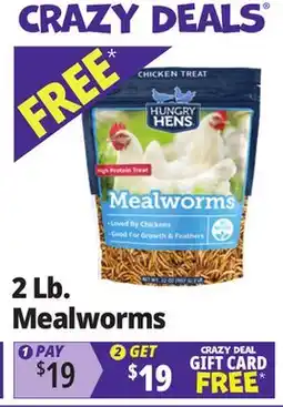 Ocean State Job Lot 2 Lb. Mealworms offer