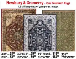 Ocean State Job Lot Newbury & Gramercy - Our Premium Rugs offer