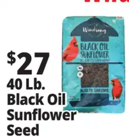 Ocean State Job Lot Black Oil Sunflower Seeds 40 lbs offer