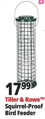Ocean State Job Lot Tiller & Rowe Squirrel-Proof Bird Feeder offer