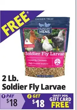 Ocean State Job Lot Hungry Hens Soldier Fly Larvae offer