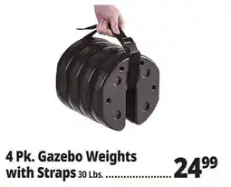 Ocean State Job Lot 4 Pk. Gazebo Weights with Straps offer