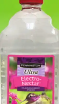 Ocean State Job Lot Clear Ultra Nectar with Electrolytes offer