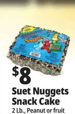 Ocean State Job Lot Suet Nuggets Snack Cake offer