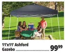 Ocean State Job Lot 11'x11' Ashford Gazebo offer