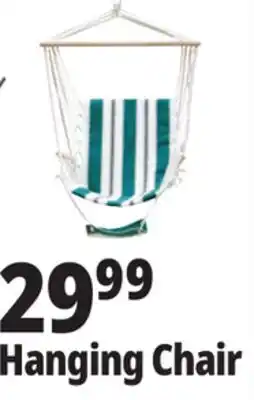 Ocean State Job Lot Hanging Chair offer