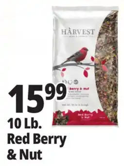 Ocean State Job Lot Red Berry & Nut offer
