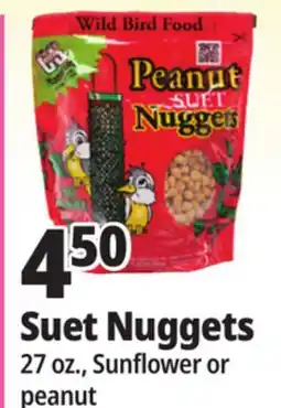 Ocean State Job Lot C&S Sunflower Suet Nuggets 27 oz offer