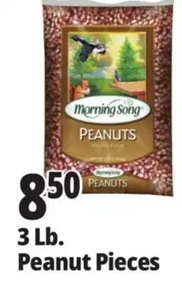 Ocean State Job Lot Audubon Peanut Pieces Bird Seed 3lb offer