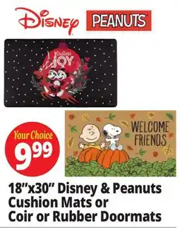 Ocean State Job Lot 18x30 Disney & Peanuts Cushion Mats or Coir or Rubber Doormats offer