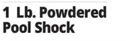 Ocean State Job Lot DryTec Powdered Pool Shock 1 lb offer