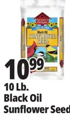Ocean State Job Lot Farmer's Delight Black Oil Sunflower Seed 10 lbs offer
