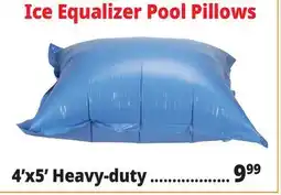 Ocean State Job Lot Ice Equalizer Pool Pillows offer