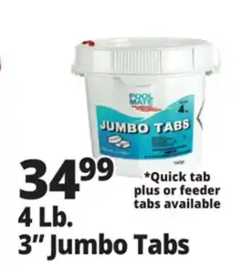 Ocean State Job Lot 4 Lb. 3 Jumbo Tabs offer