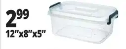 Ocean State Job Lot Caya Storage 12x8x5 offer