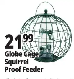 Ocean State Job Lot Globe Cage Squirrel Proof Feeder offer