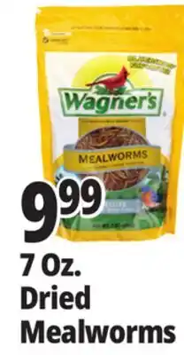 Ocean State Job Lot 7 Oz. Dried Mealworms offer