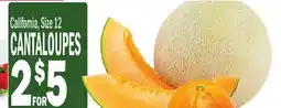 C Town CANTALOUPES offer