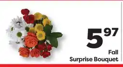 Weis Markets Fall Surprise Bouquet offer