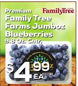 DeCicco & Sons Premium Family Tree Farms Jumboz Blueberries offer