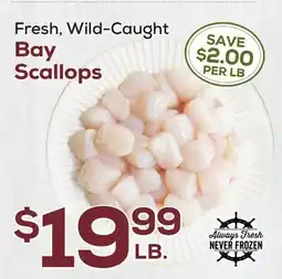 DeCicco & Sons Fresh, Wild-Caught Bay Scallops offer