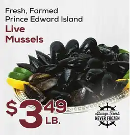 DeCicco & Sons Live Mussels offer