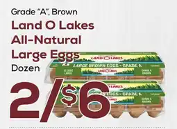 DeCicco & Sons Land O Lakes All-Natural Large Eggs offer