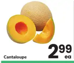ACME Cantaloupe offer