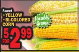 Bravo Supermarkets YELLOW BI-COLORED CORN offer