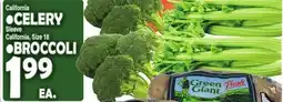 Bravo Supermarkets •CELERY •BROCCOLI offer