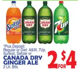 Bravo Supermarkets CANADA DRY GINGER ALE offer
