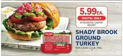 Kings Food Markets SHADY BROOK GROUND TURKEY offer
