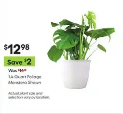 Lowe's 1.4-Quart Foliage offer