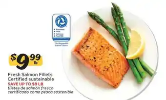 Fresh Salmon Fillets