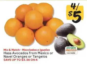 Winn Dixie Hass Avocados or Navel Oranges or Tangelos offer