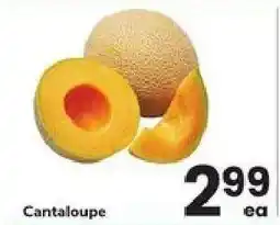 Safeway Cantaloupe offer