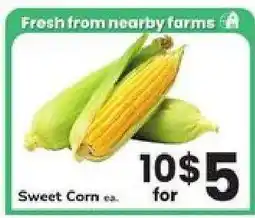 Safeway Sweet Corn offer