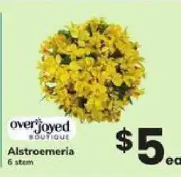 Safeway Alstroemeria offer