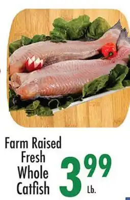 Garden Fresh Market Farm Raised Fresh Whole Catfish offer