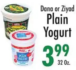 Garden Fresh Market Dana or Ziyad Plain Yogurt offer