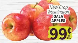 Cermak Fresh Market New Crop Washington GALA APPLES offer