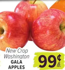 Cermak Fresh Market New Crop Washington GALA APPLES offer
