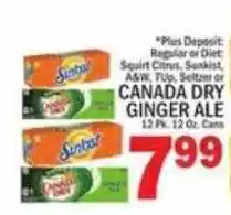 C Town Canada Dry Ginger Ale offer