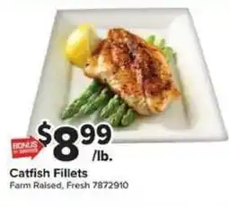 Giant Food Catfish Fillets offer