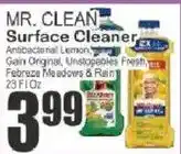 Key Food Mr. Clean surface cleaner offer